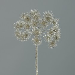 Bolševník platina 67 cm