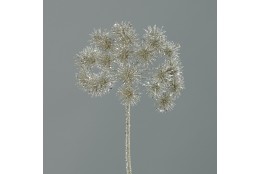 Bolševník platina 67 cm