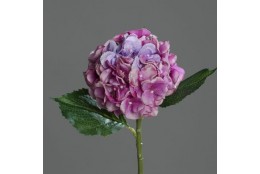 Hortenzie lavender 44 cm