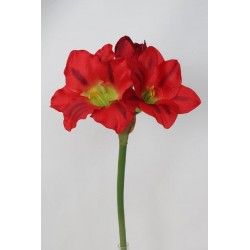 Amarylis červený 52 cm