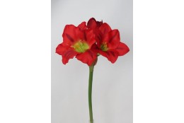 Amarylis červený 52 cm