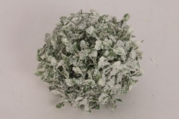 Koule buxus zasněžená 12 cm