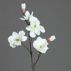 Magnolie krémová větev 100 cm