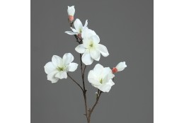 Magnolie krémová větev 100 cm