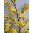 Forsythia (zlatý déšť), velká