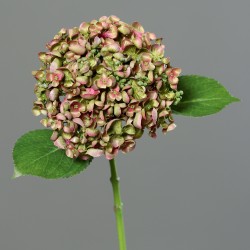 Hortenzie mauve - zelená drobné květy 44 cm