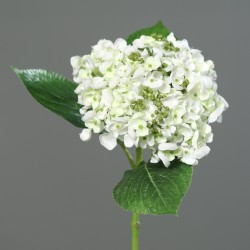 Hortenzie krémová drobné květy 44 cm