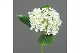 Hortenzie krémová drobné květy 44 cm