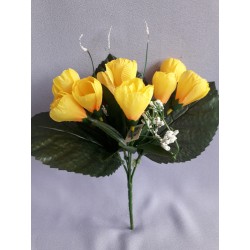 Krokus žlutý 25 cm