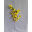 Forsythia, Zlatý déšť