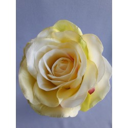 Růže krémovo-zelená velká vazbová 8*9 cm