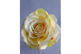 Růže krémovo-zelená velká vazbová 8*9 cm