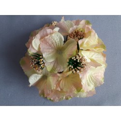 Hortenzie lososovo-zelená vazbová Ø 17 cm