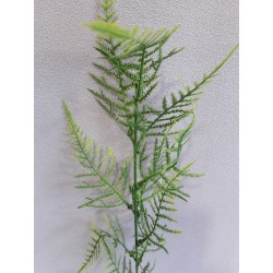 Větvička Asparagus 57 cm