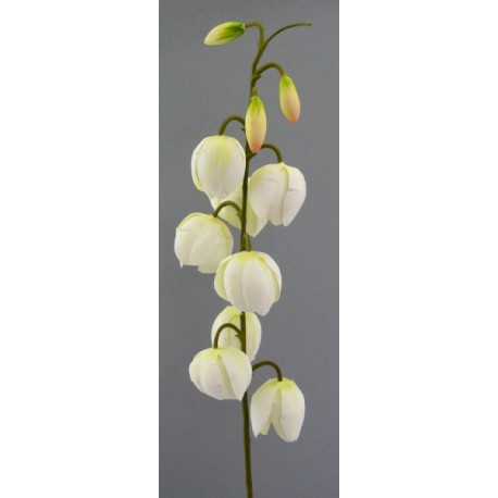 Yucca větvička