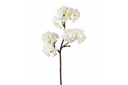 Větev třešeň bílá 43 cm