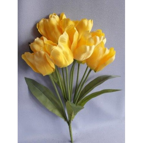 Tulipán kytice, 5 barev