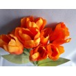Tulipán kytice, 5 barev