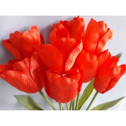 Tulipán kytice, 4 barry