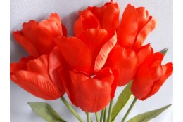 Tulipán kytice, 4 barry