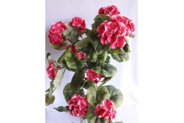 Muškát tm. růžový převis 56*37 cm