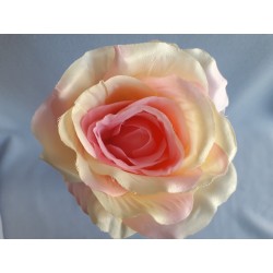 Růže krémovo-růžová velká vazbová 8*9 cm