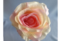 Růže krémovo-růžová velká vazbová 8*9 cm