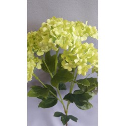 Hortenzie zelená větvička 62 cm