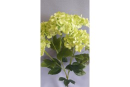 Hortenzie zelená větvička 62 cm