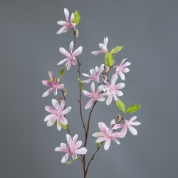 Magnolie bílo-růžová větev 90 cm
