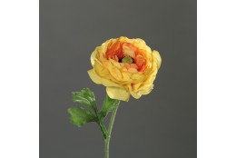 Ranunculus žluto-oranžový 42 cm