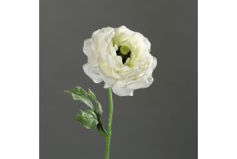 Ranunculus bílý 42 cm