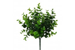 Eukalyptus svazek 31 cm