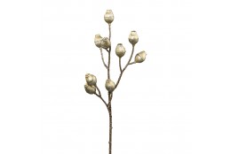 Větvička eukalyptus zlatá 50 cm