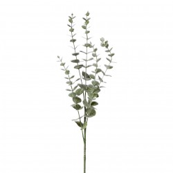 Větvička eukalyptus šedá 73 cm