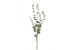 Větvička eukalyptus šedá 73 cm