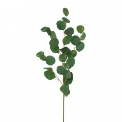 Větvička eukalypthus, 90 cm, zelený