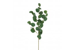 Větvička eukalyptus zelený 90 cm