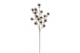 Bodlák štetkovec burgundy 71 cm