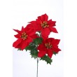 Poinsettie kytička x3