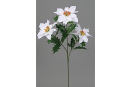 Poinsettie kytička x3 bílá 55 cm