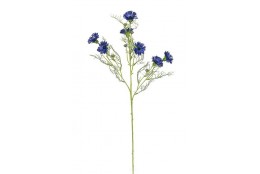 Chrpa modrá 73 cm