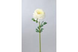 Ranunculus krémovo-zelený 47 cm