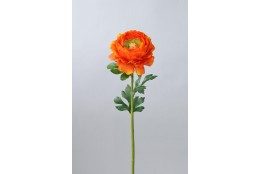 Ranunculus oranžový 47 cm