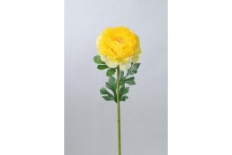 Ranunculus žlutý 47 cm