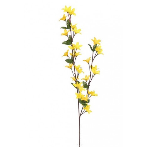 Forsythia, Zlatý déšť
