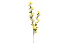 Zlatý déšť  Forsythia 73 cm