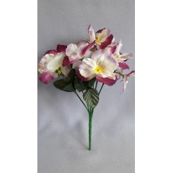 Maceška bílo-vínová 26 cm