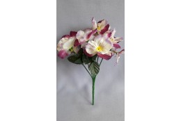 Maceška bílo-vínová 26 cm