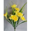 Narcis kytička, 2 barvy